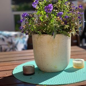 Meet your Posher, Lynn